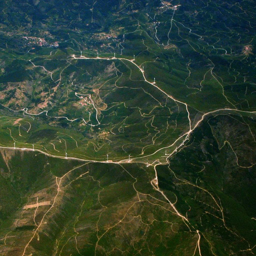 Eglade de Sauzelle