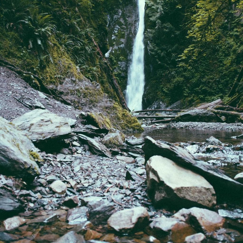 Randonnée sur estran rocheux : À l’assaut des rochers !