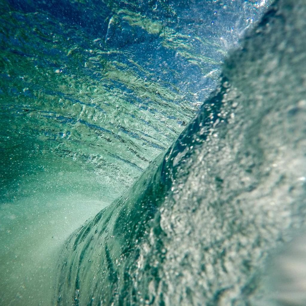 Concert - Le vin d'Oscar et Damoon