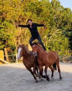 Spectacle équestre — un artiste debout sur deux chevaux