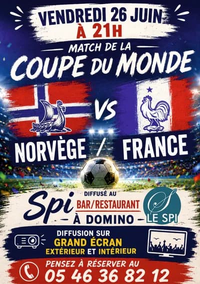 Diffusion du match Norvège-france.