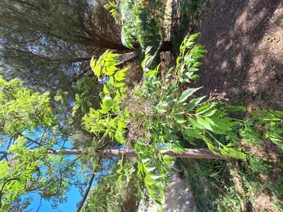 Visite des jardins, ateliers au choix🍃🪷🌿🌸