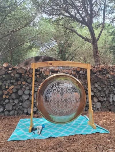 Voyage sonore méditatif au gong, aux bols de cristal et ou tambours chamaniques.🍵🎵💜🎶