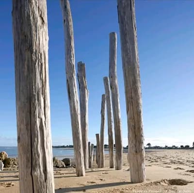 Expo Photo à St Denis : Belle Île Oléron/belle Île en mer