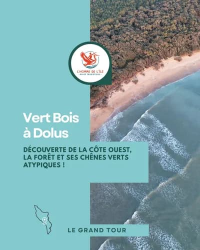 Randonnées Animées : Forêt de Vert-bois