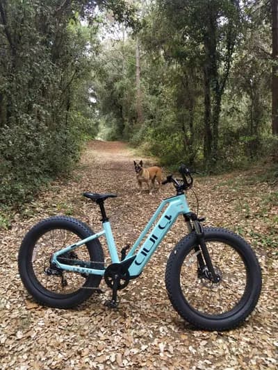 balade en forêt