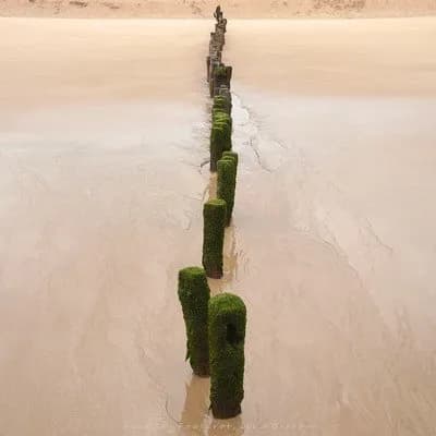 Expo photo : Belle île Oléron / Belle île en mer