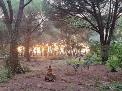 Ateliers au choix, voyages sonores, méditations, etc...🌸🌿🪷🍃🙏🧘♀️