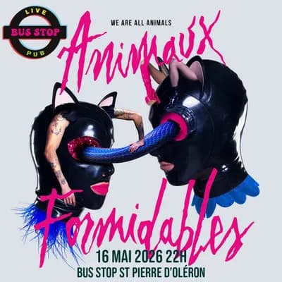 Les Animaux Formidables concert