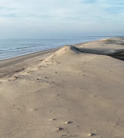 Excursions Guidées Pour (re)découvrir Oléron