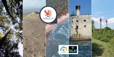 L'Homme de l'île / Guide